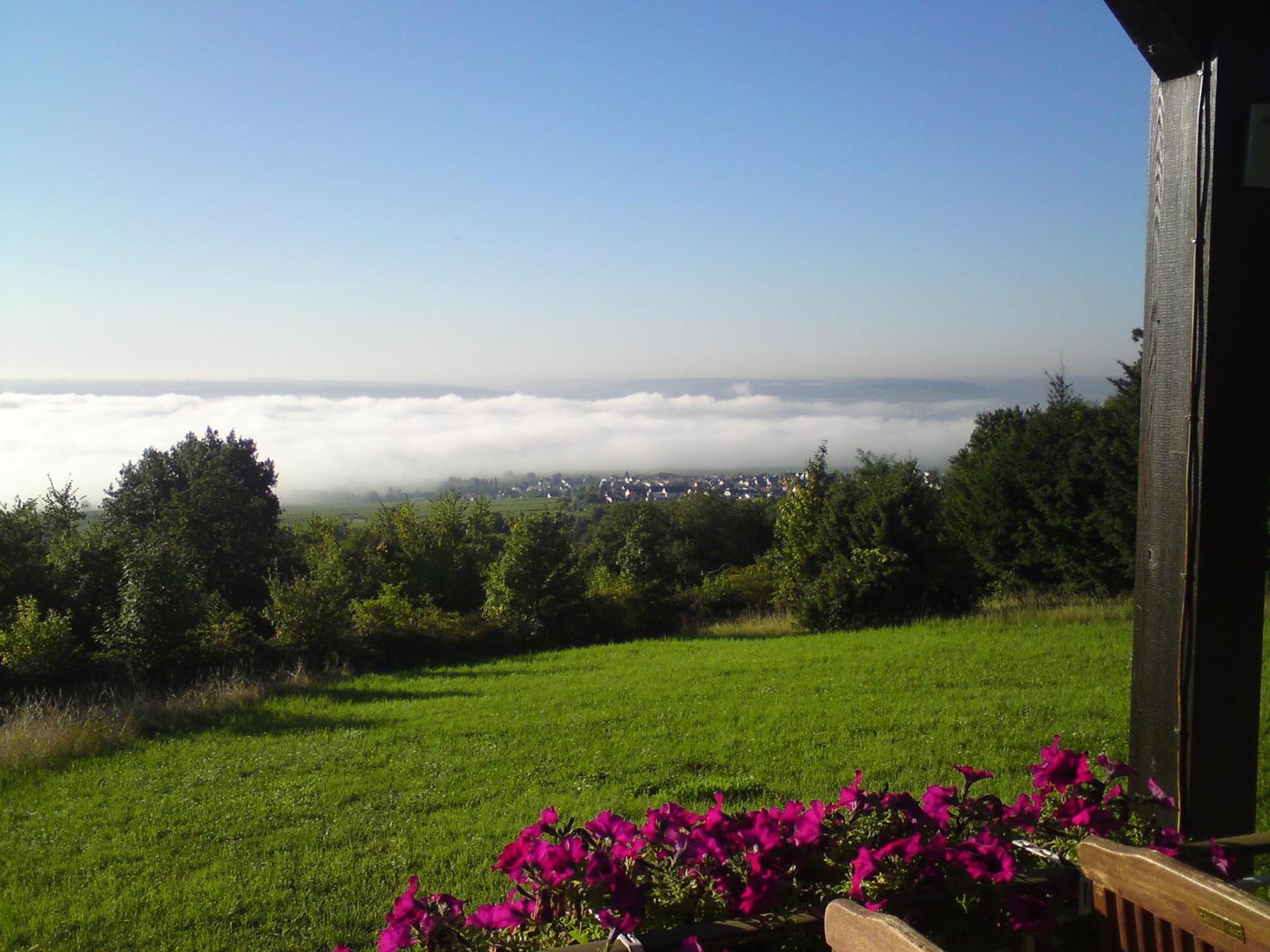 Zum Rebhang Bed & Breakfast Oestrich-Winkel Esterno foto