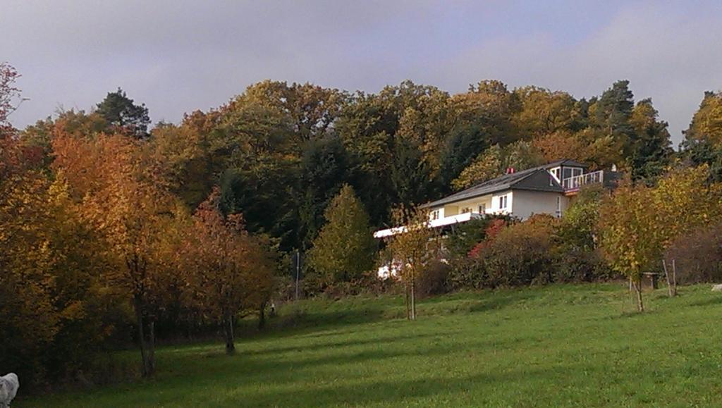 Zum Rebhang Bed & Breakfast Oestrich-Winkel Esterno foto